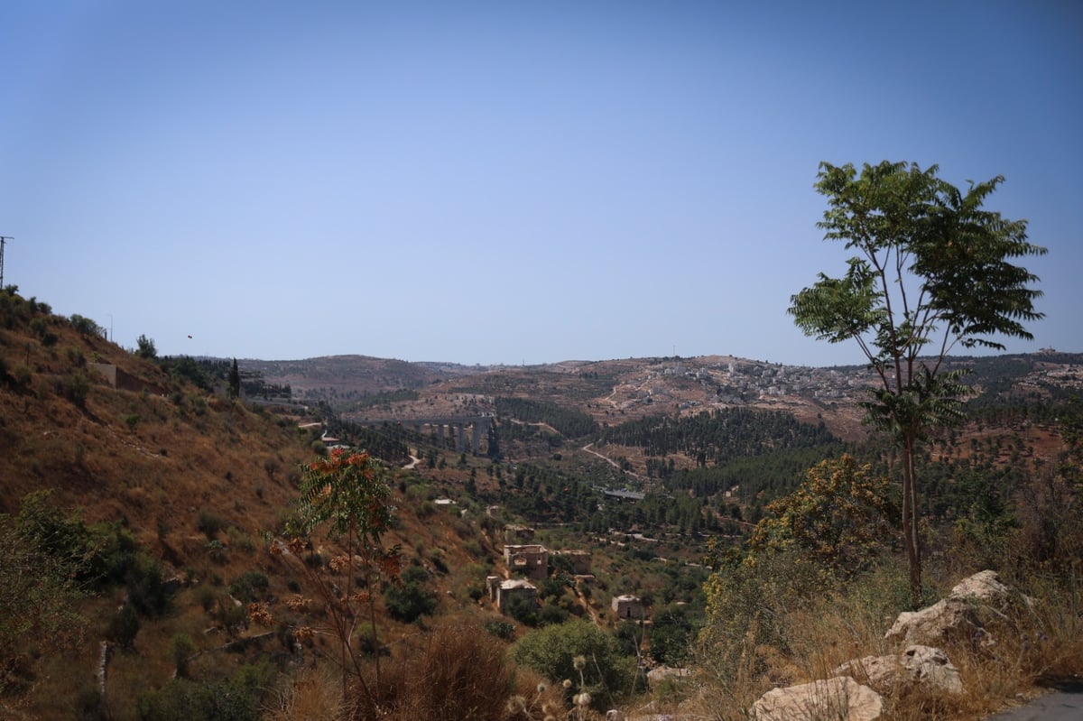 גלריה מרעננת: 'בין הזמנים' במעיין הליפתא