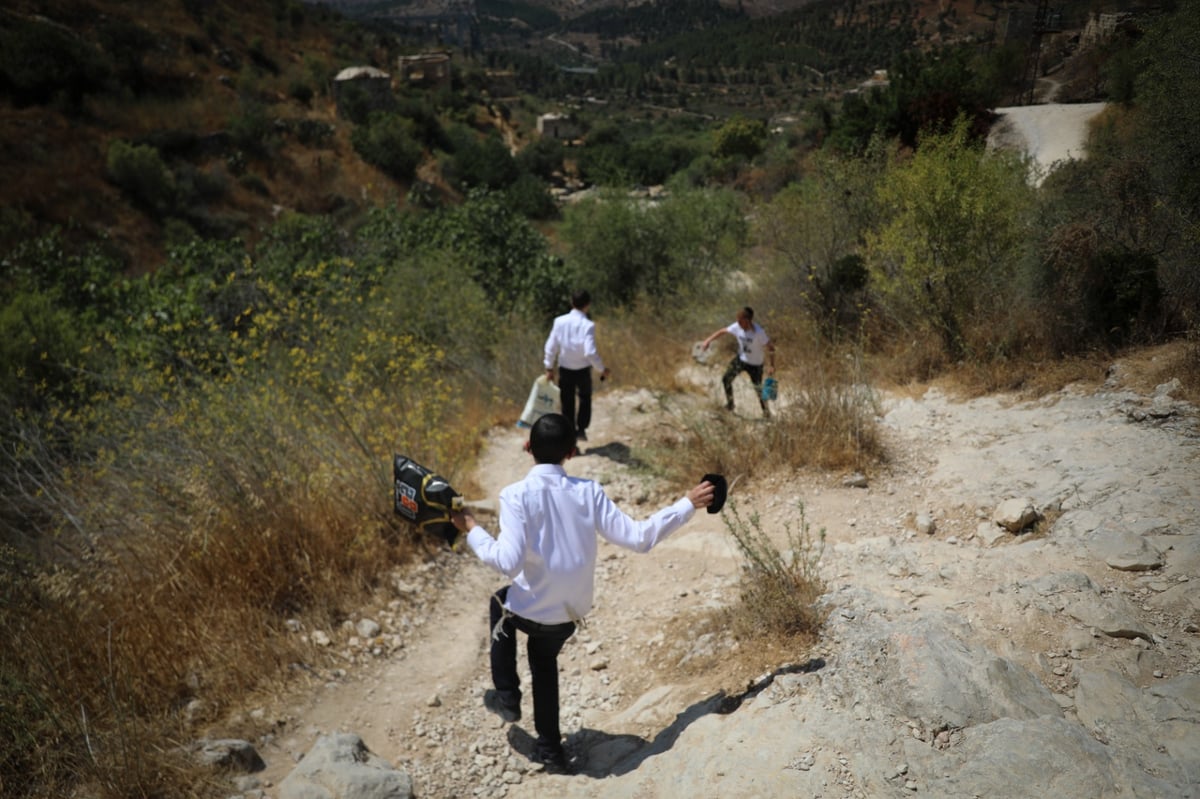 גלריה מרעננת: 'בין הזמנים' במעיין הליפתא