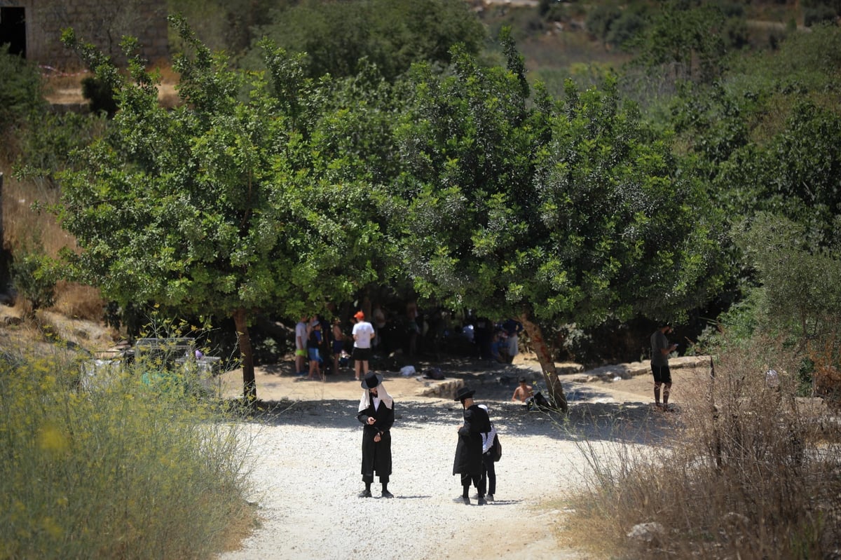 גלריה מרעננת: 'בין הזמנים' במעיין הליפתא