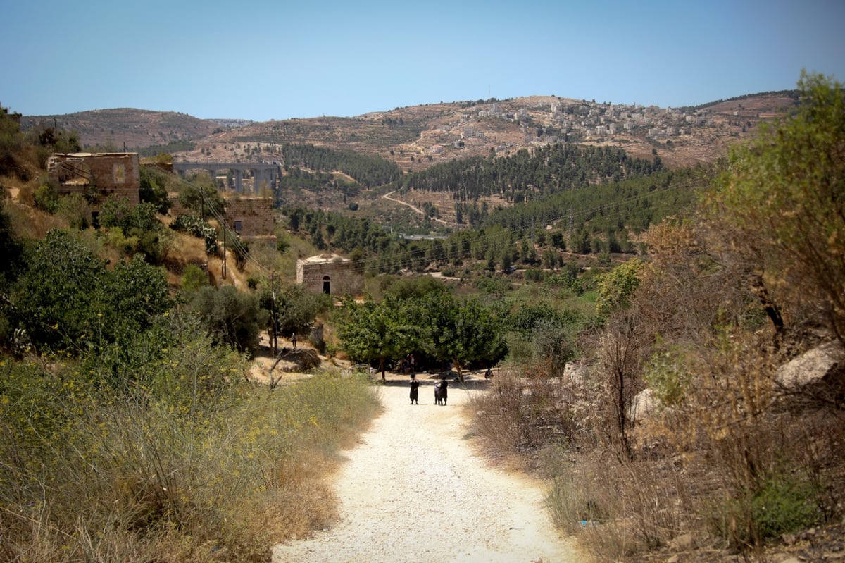 גלריה מרעננת: 'בין הזמנים' במעיין הליפתא