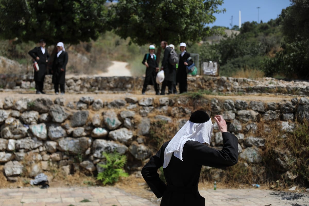 גלריה מרעננת: 'בין הזמנים' במעיין הליפתא