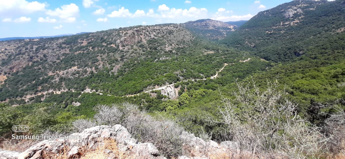 טיול לבין הזמנים: בואו לנחל של בני התורה