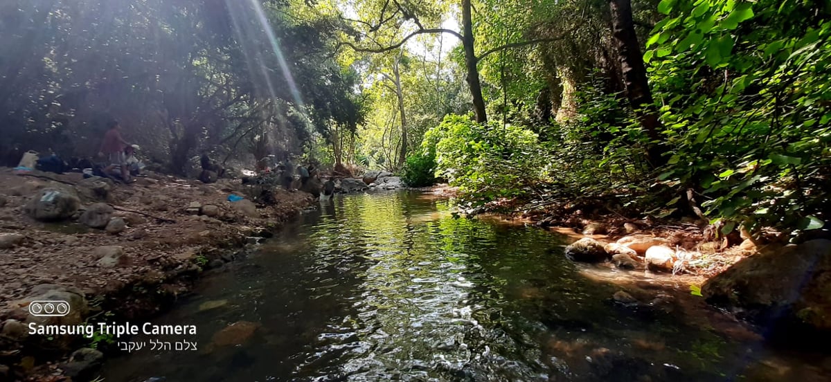 טיול לבין הזמנים: בואו לנחל של בני התורה