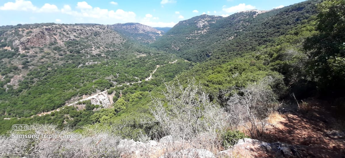 טיול לבין הזמנים: בואו לנחל של בני התורה