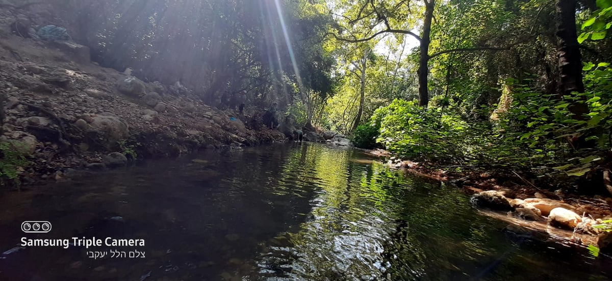 טיול לבין הזמנים: בואו לנחל של בני התורה