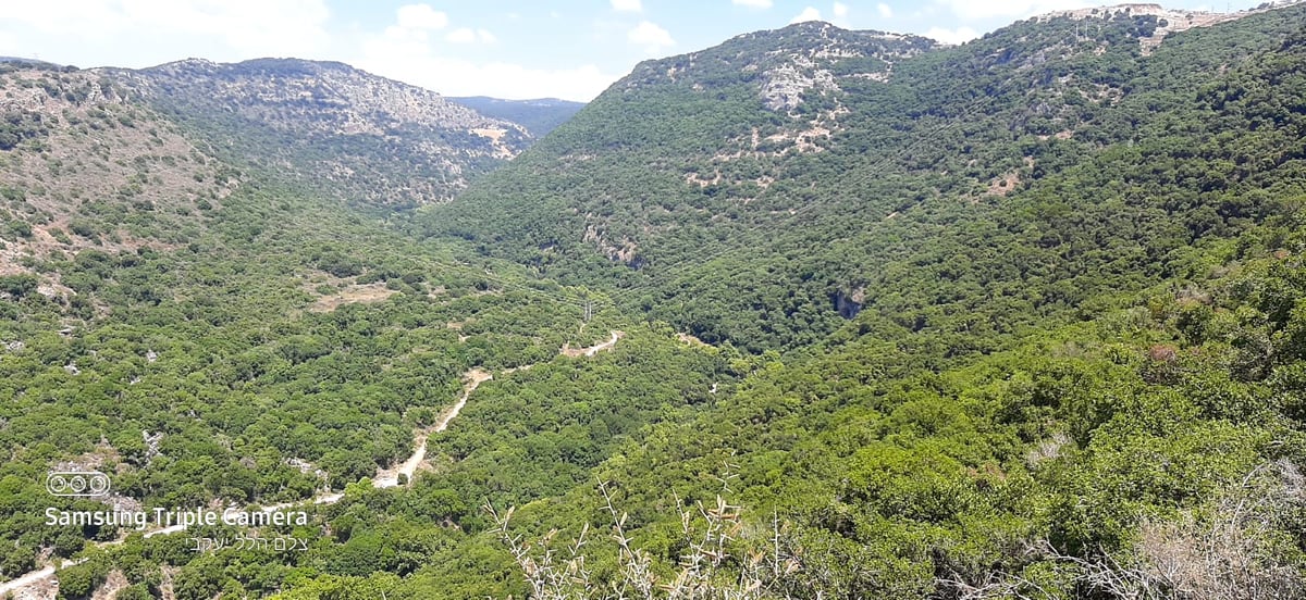 טיול לבין הזמנים: בואו לנחל של בני התורה