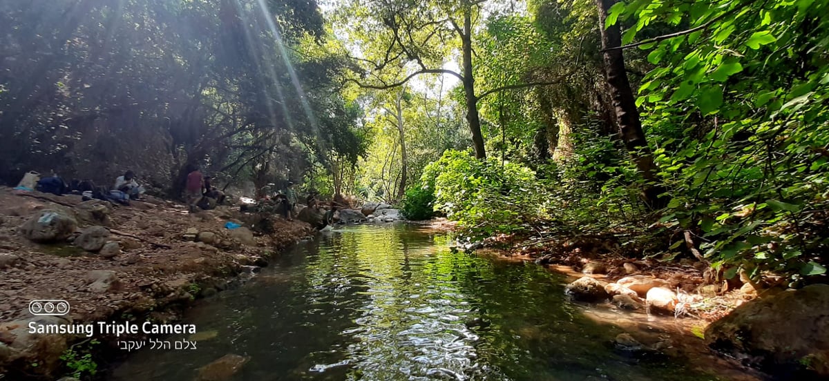 טיול לבין הזמנים: בואו לנחל של בני התורה