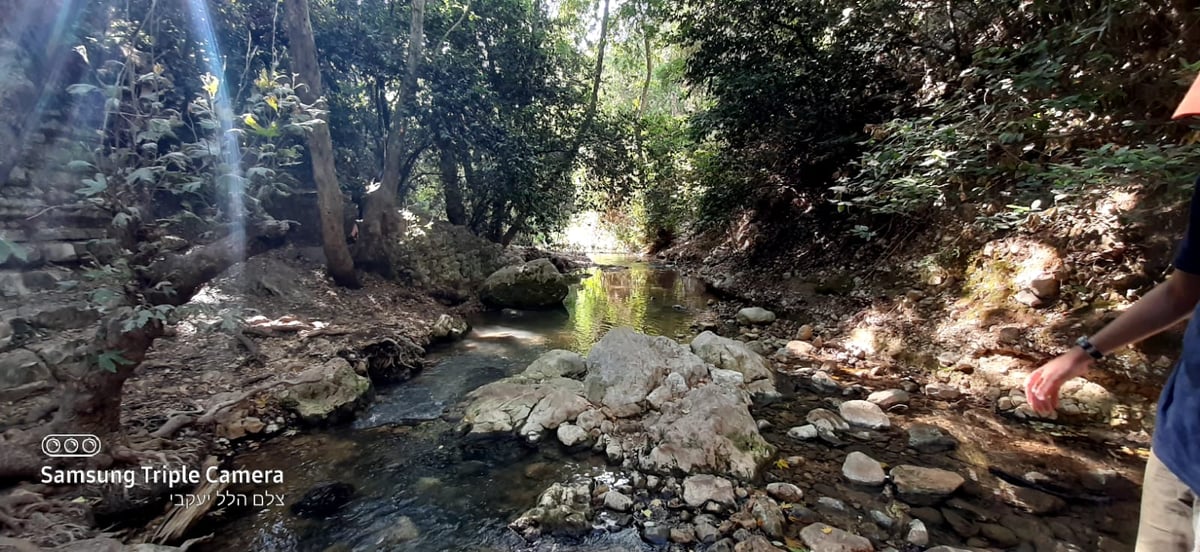 טיול לבין הזמנים: בואו לנחל של בני התורה