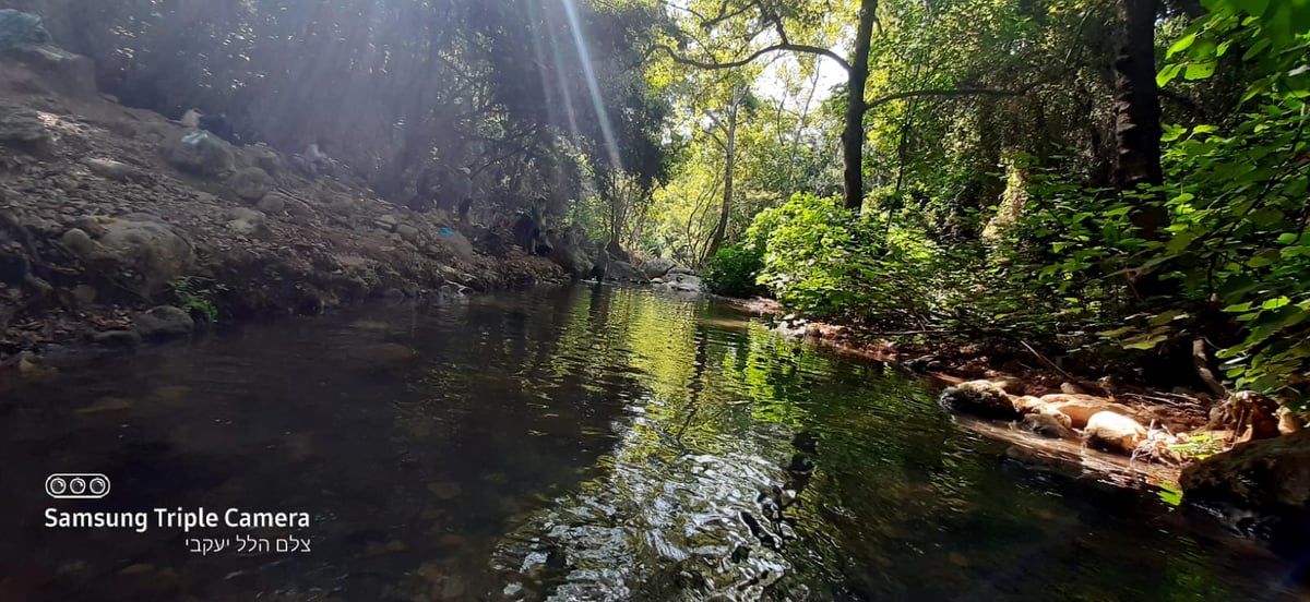 טיול לבין הזמנים: בואו לנחל של בני התורה