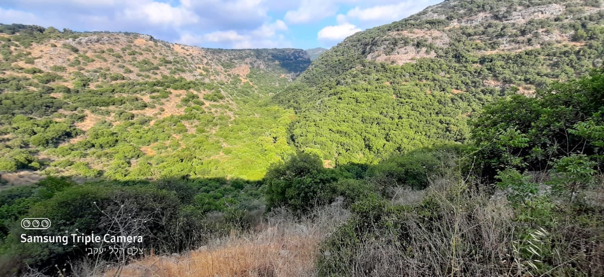 טיול לבין הזמנים: בואו לנחל של בני התורה