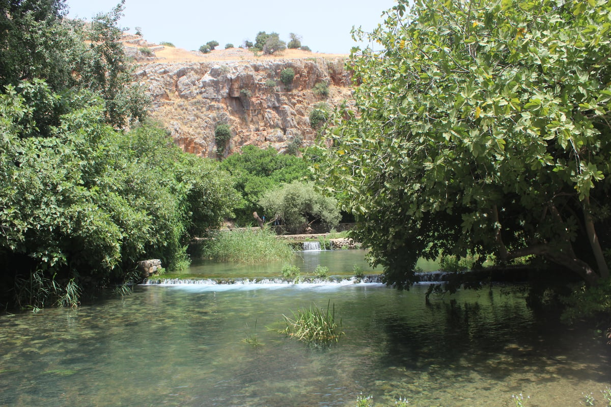 טיול לבין הזמנים: ה'בניאס' של עולם הישיבות