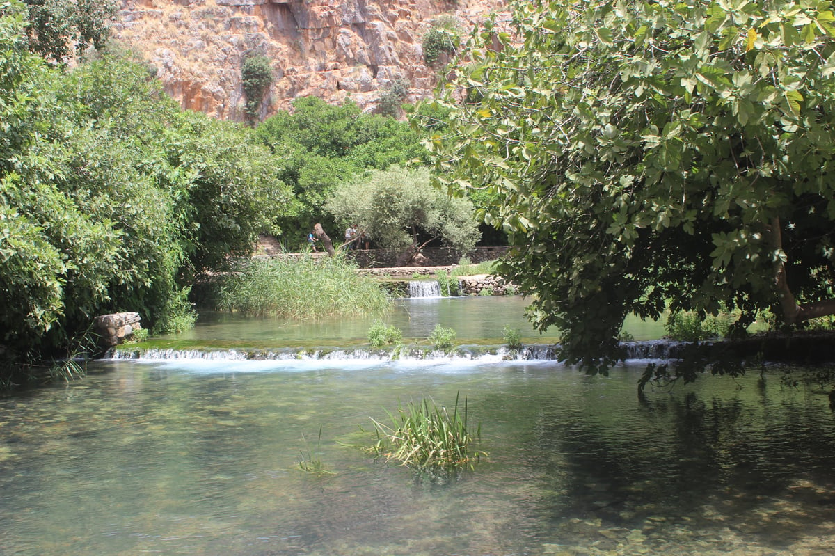 טיול לבין הזמנים: ה'בניאס' של עולם הישיבות