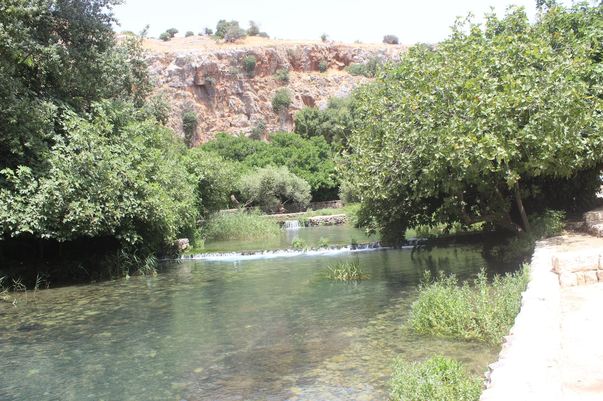 טיול לבין הזמנים: ה'בניאס' של עולם הישיבות