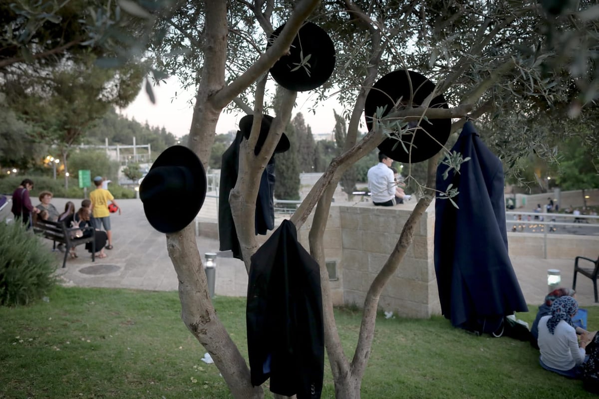 גלריה רטובה: קפצו למים של פארק טדי