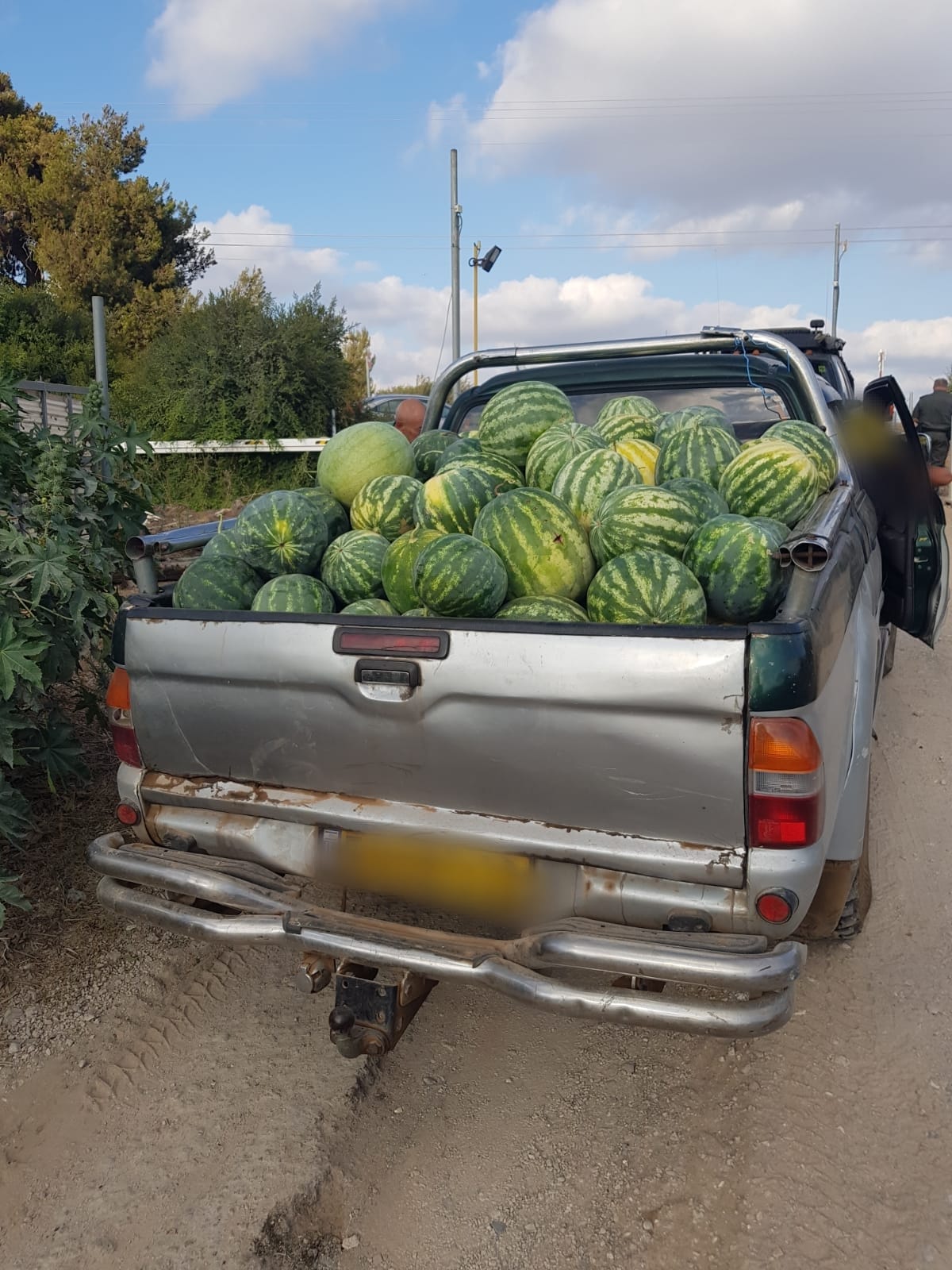 מג"ב עצרו שני ערבים שגנבו 163 אבטיחים