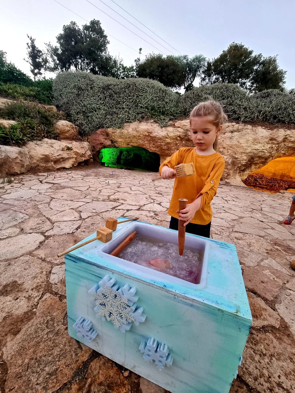 ממלכת השלג בגן הבוטני בירושלים