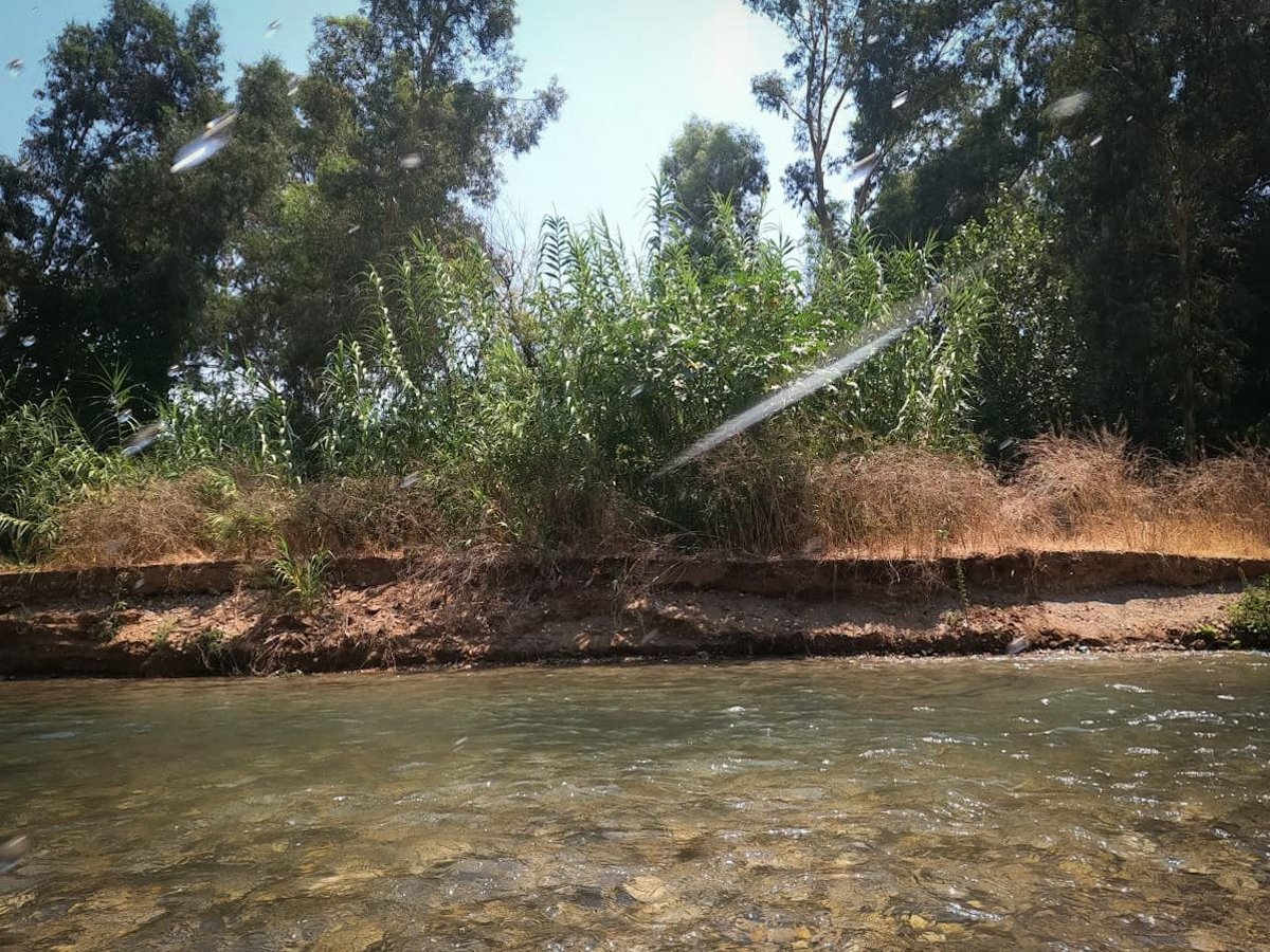 מרענן: הנחל שמתחיל בלבנון ונגמר בישראל