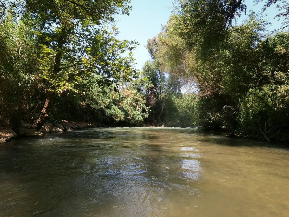 מרענן: הנחל שמתחיל בלבנון ונגמר בישראל