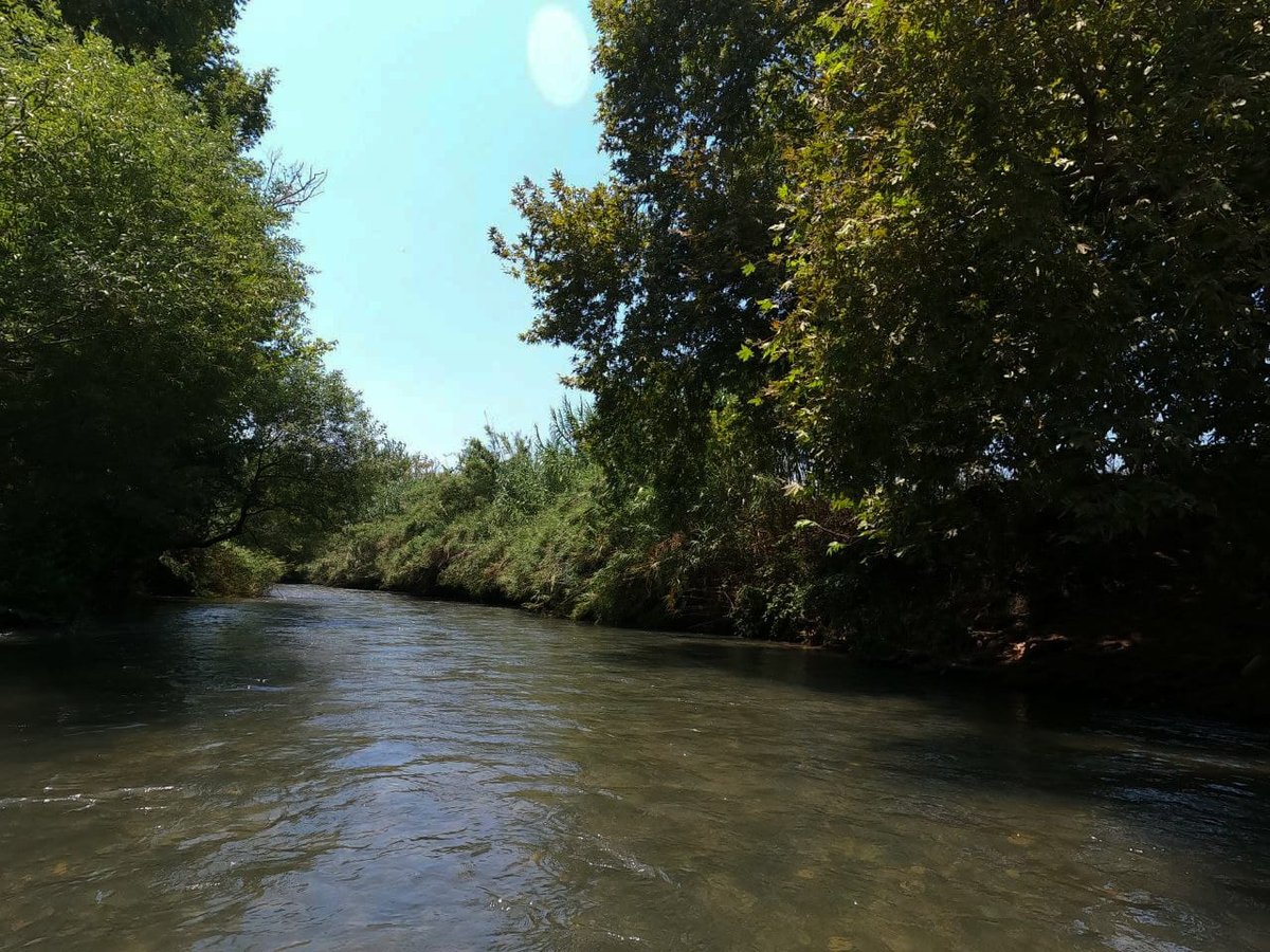 מרענן: הנחל שמתחיל בלבנון ונגמר בישראל