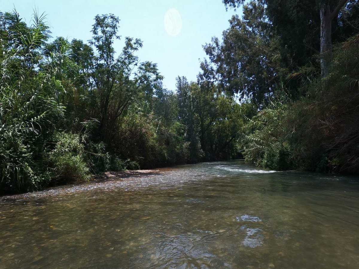 מרענן: הנחל שמתחיל בלבנון ונגמר בישראל