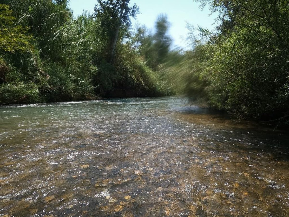 מרענן: הנחל שמתחיל בלבנון ונגמר בישראל