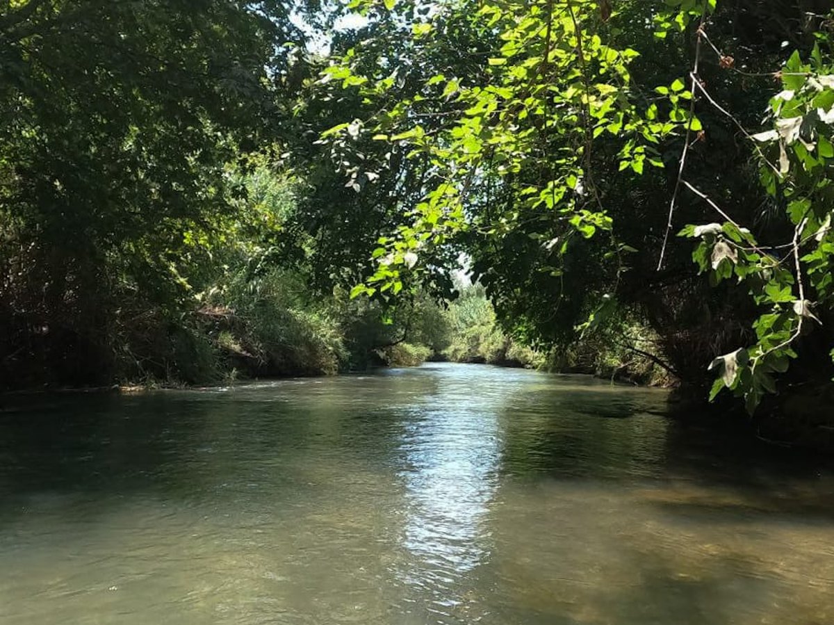 מרענן: הנחל שמתחיל בלבנון ונגמר בישראל