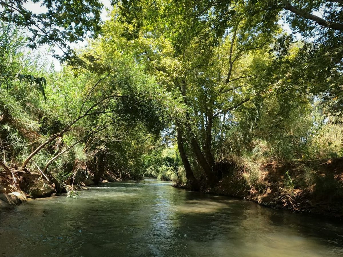 מרענן: הנחל שמתחיל בלבנון ונגמר בישראל