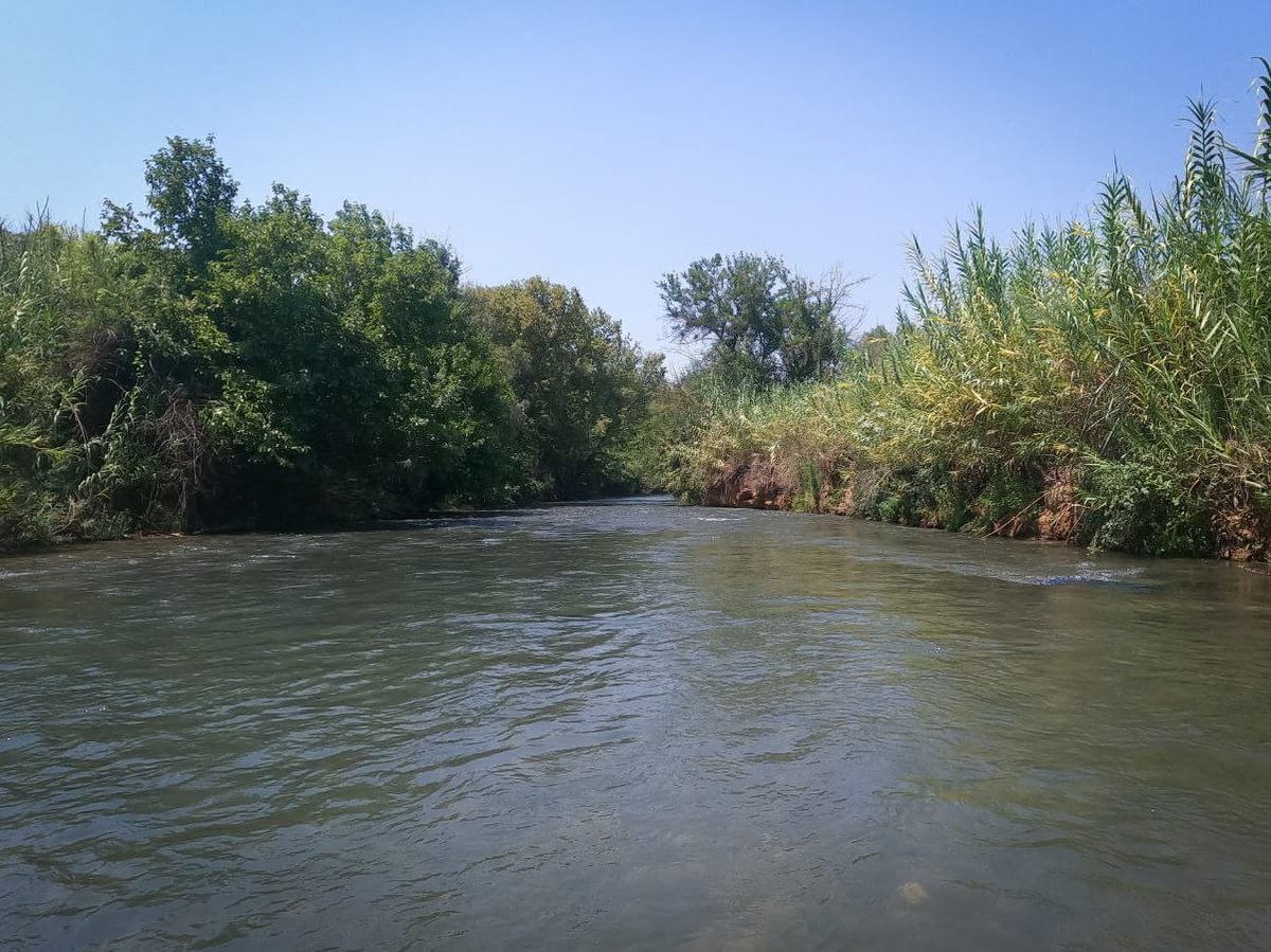 מרענן: הנחל שמתחיל בלבנון ונגמר בישראל