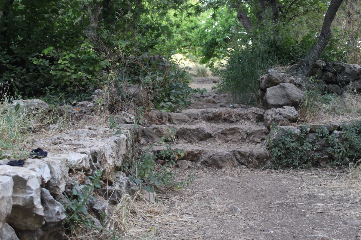 טיול לבין הזמנים: המעיין הקדוש - נחשף