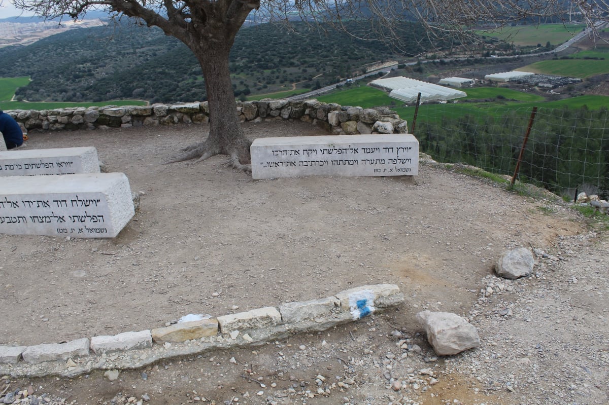 הנס ב'תל עזקה'; כך דוד ניצח את גוליית ואחיו