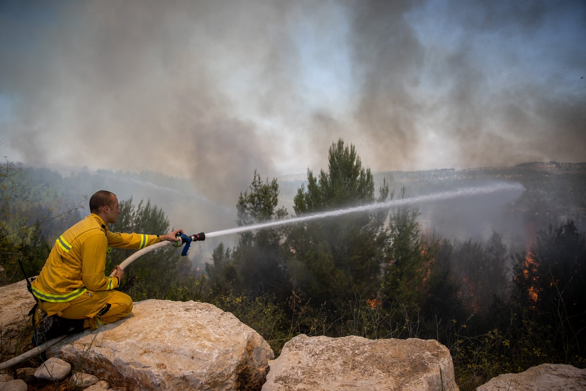 השריפה בשורש; הלוחמים לקראת שליטה