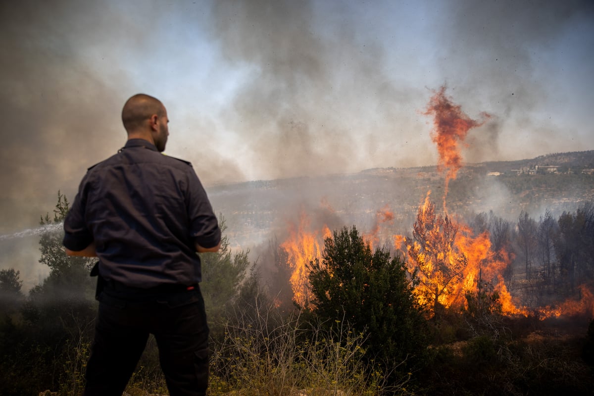 השריפה בשורש; הלוחמים לקראת שליטה