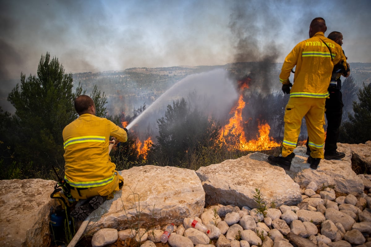 השריפה בשורש; הלוחמים לקראת שליטה