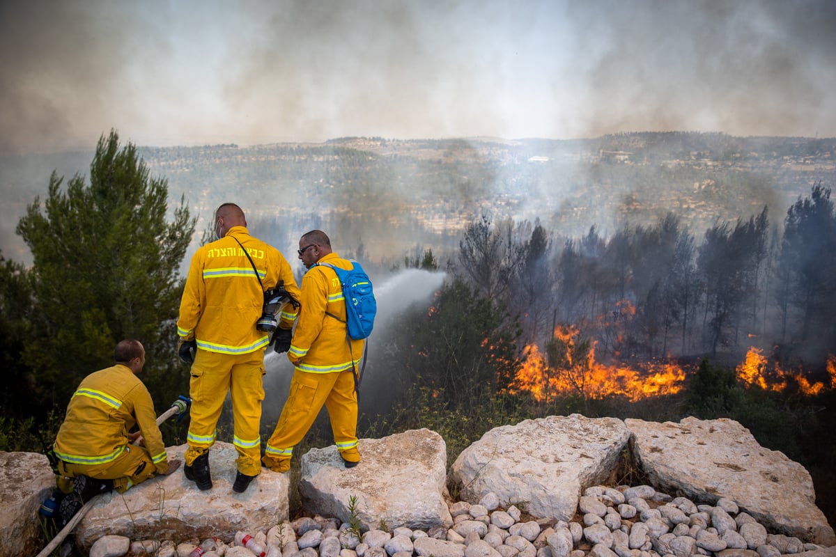 השריפה בשורש; הלוחמים לקראת שליטה