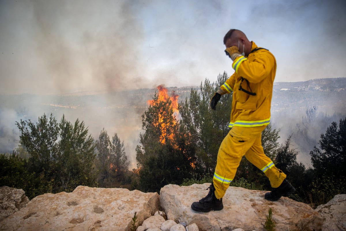 השריפה בשורש; הלוחמים לקראת שליטה