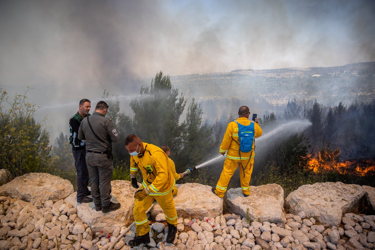 השריפה בשורש; הלוחמים לקראת שליטה