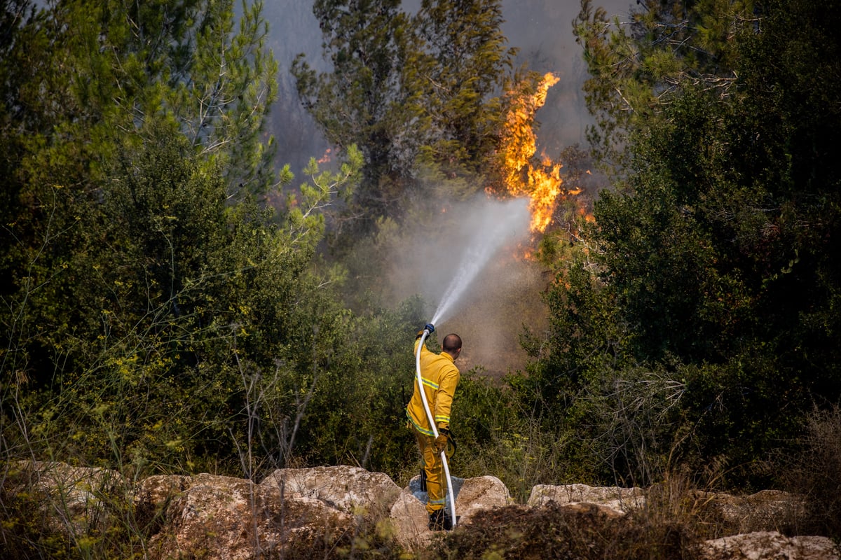 השריפה בשורש; הלוחמים לקראת שליטה