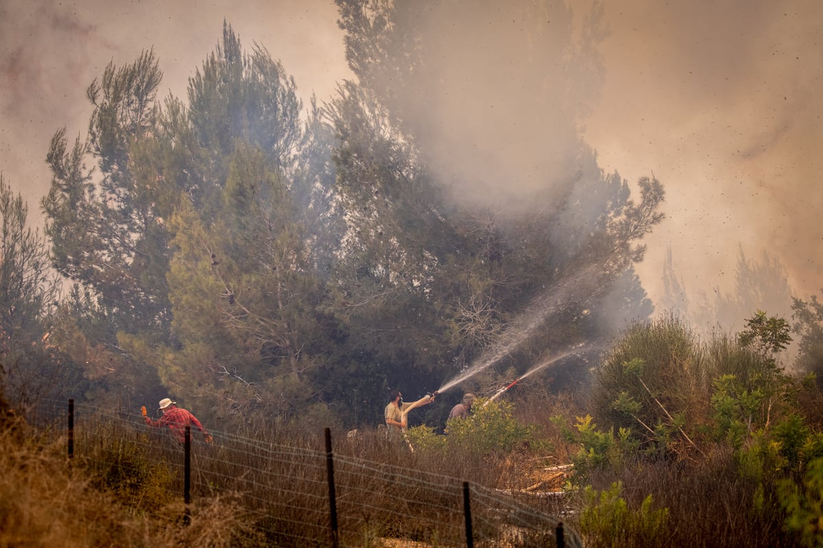 השריפה בשורש; הלוחמים לקראת שליטה