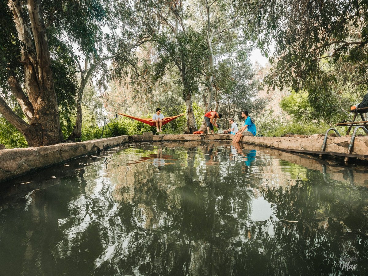 בריכת אורחה