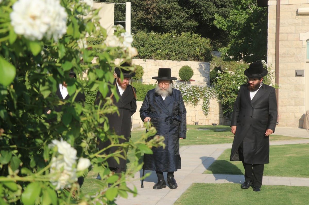 בבית הנגיד: האדמו"ר בנאות דשא • צפו