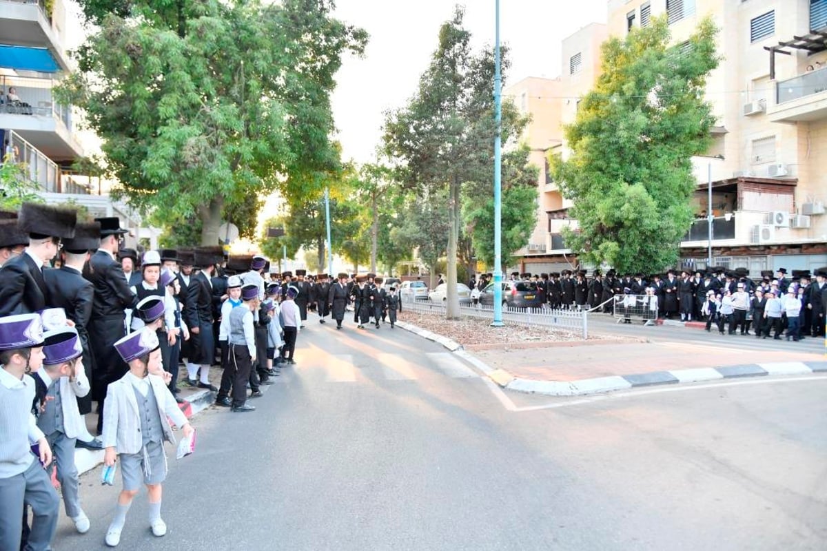 טיש של 5 שעות: חסידי ויז'ניץ שבתו באלעד