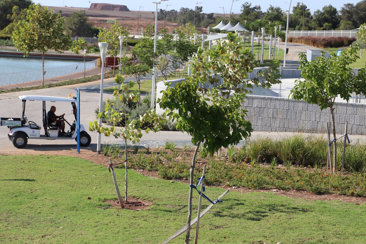 תיעוד קיצי מ"פארק האגם" בעיר הדרומית