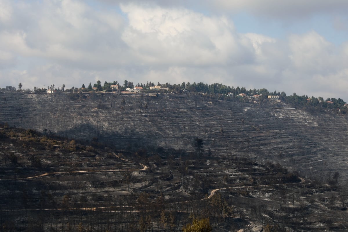 השריפה בהרי ירושלים: ישראל ביקשה סיוע מ-5 מדינות