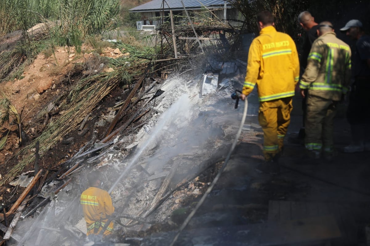 כך לוחמי האש נלחמים בלהבות הענק; צפו