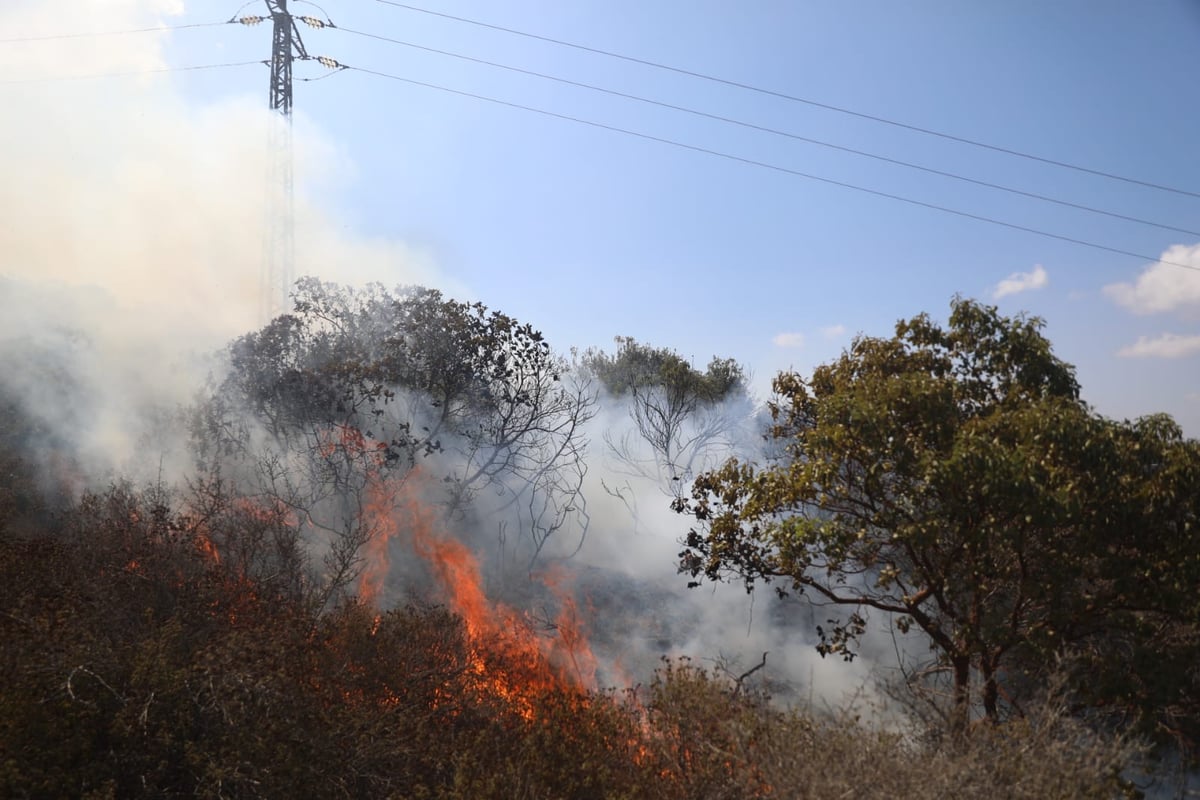 כך לוחמי האש נלחמים בלהבות הענק; צפו