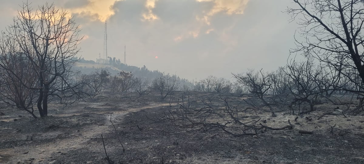 תיעוד: נזקי השריפה בשמורת הר טייסים