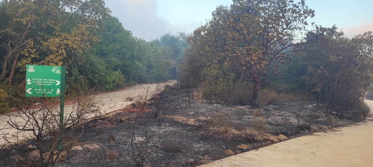 תיעוד: נזקי השריפה בשמורת הר טייסים