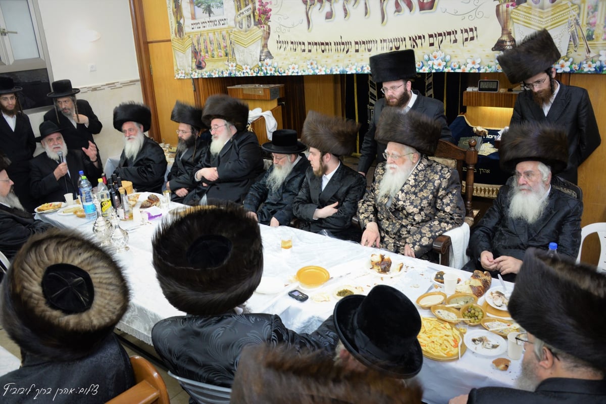 שמחת שבע ברכות בחצרות שאץ ויז'ניץ - ספינקא