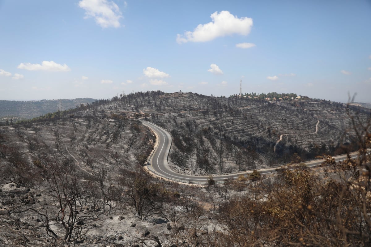 52 שעות של אש ב-52 תמונות של חיים גולדברג