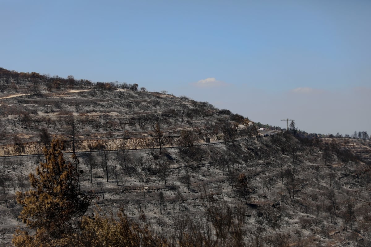 שריפת הענק בהרי ירושלים, ביום שאחרי; צפו